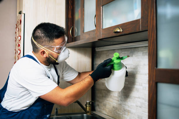 Best Pest Inspection Near Me  in Warsaw, MO