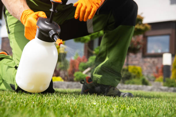 Best Pest Control for Restaurants  in Warsaw, MO