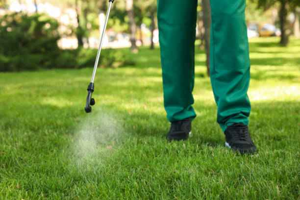 Best Termite Control Services  in Warsaw, MO