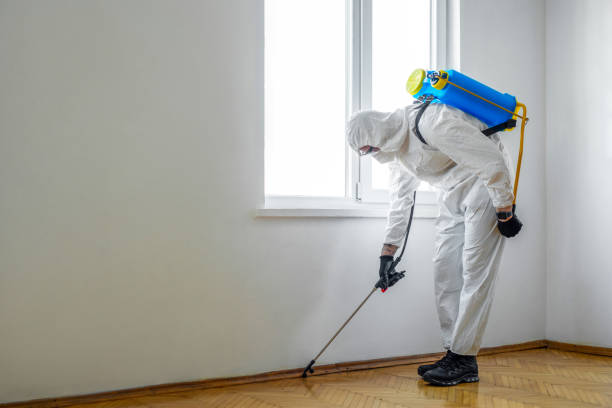 Best Commercial Pest Control Services  in Warsaw, MO