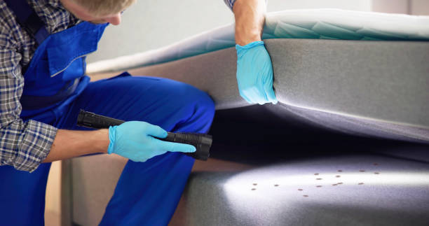 Best Cockroach Control Services  in Warsaw, MO