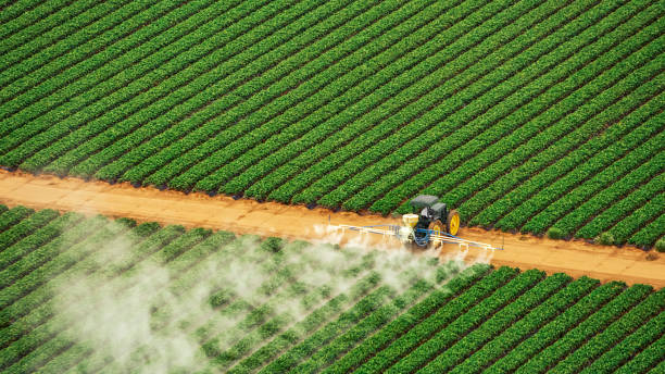 Best Pest Control for Homes  in Warsaw, MO