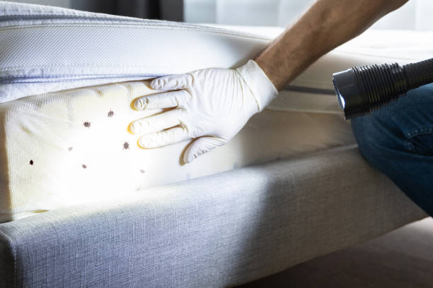Best Exterminator Services  in Warsaw, MO