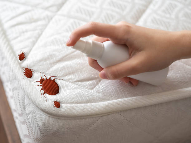 Warsaw, MO Pest Control Company
