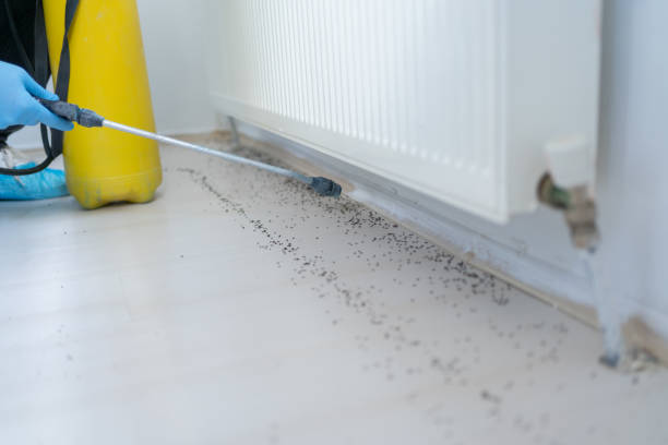 Best Exterminator Services  in Warsaw, MO
