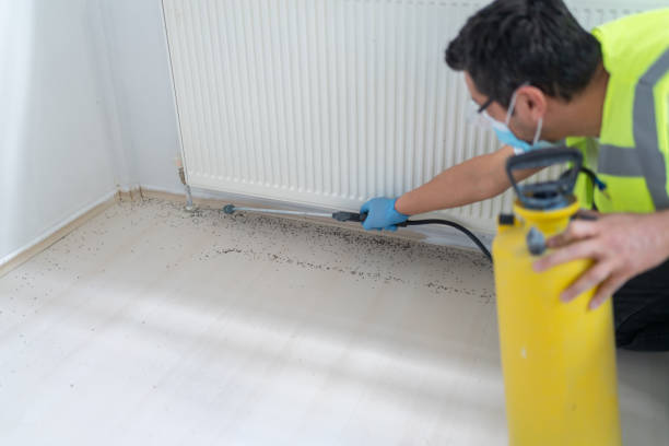 Best Residential Pest Control  in Warsaw, MO
